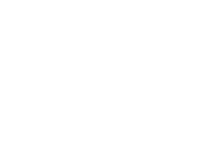 Flor De Sal Marca Logo