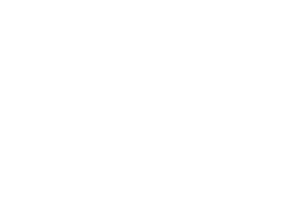 Flor De Sal Marca 03